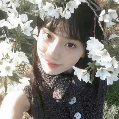 活动写真